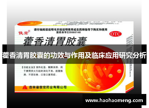 藿香清胃胶囊的功效与作用及临床应用研究分析