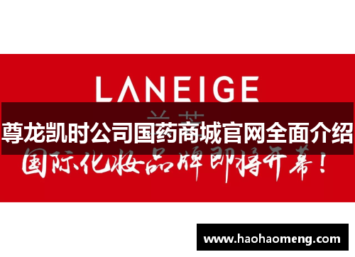 尊龙凯时公司国药商城官网全面介绍 尊龙凯时公司国药商城官网全面介绍
