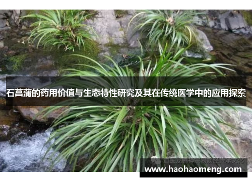 石菖蒲的药用价值与生态特性研究及其在传统医学中的应用探索 石菖蒲的药用价值与生态特性研究及其在传统医学中的应用探索